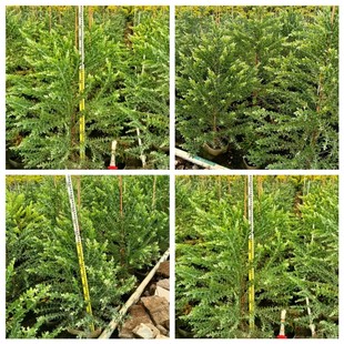 ��ɽ���l���غϚg����ܽ�ؘ����y�~��Ϛg����ľͥԺ�͟��ͺ�����