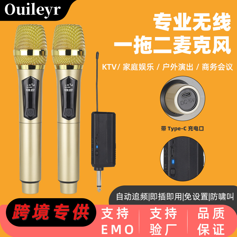 Micrófono inalámbrico, uno para dos, tarjeta de sonido KTV doméstica, escenario en vivo, canción K, segmento V, micrófono de mano profesional