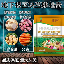 地下根茎膨大素甘薯地瓜土豆山药花生块茎膨大剂红苕专用药叶面肥