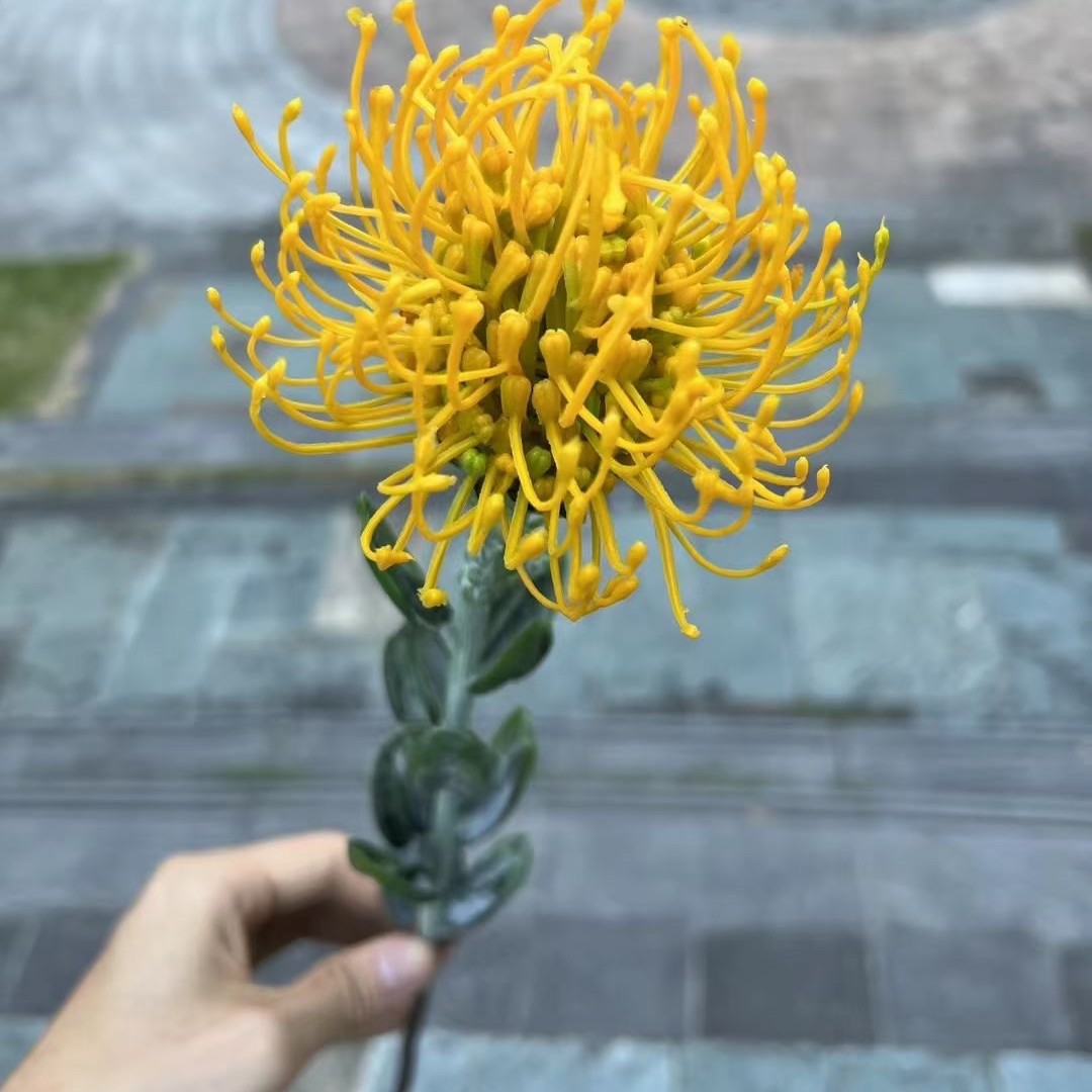 Nueva fábrica de flores artificiales de la boda amarillo leche amarillo limón amarillo fresco al aire libre Salón de la boda decoración flor falsa al por mayor