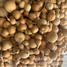 �ĳ���Ȼ���J����С�����������J���控���F؛�ؔ���ͯ���غ��J��