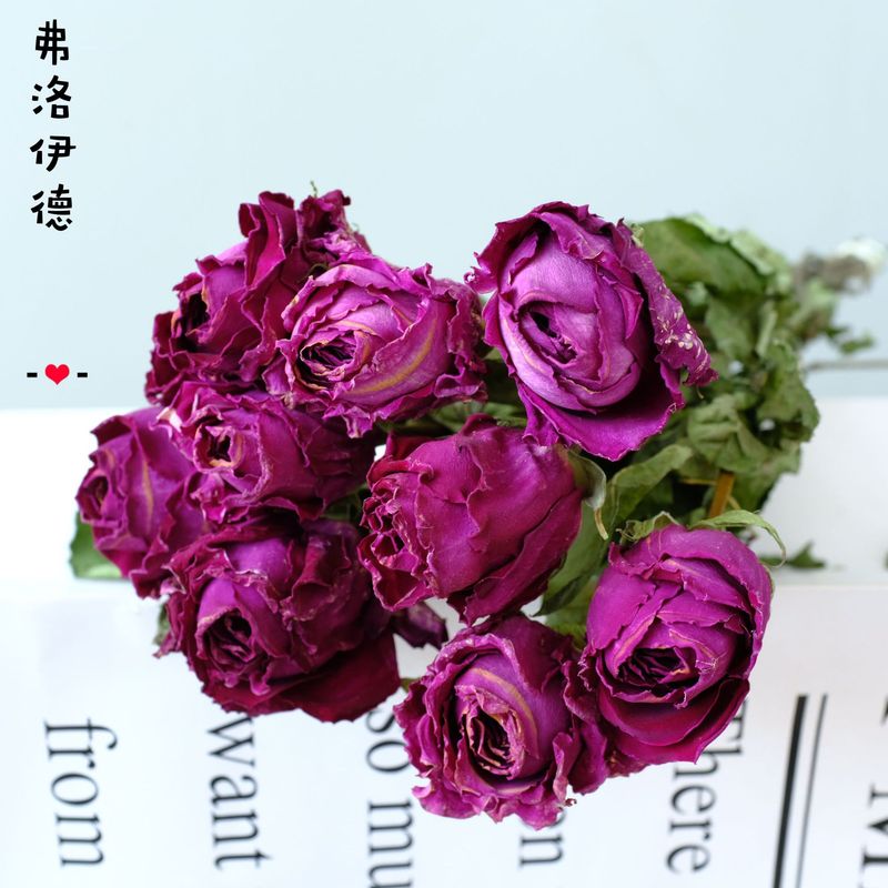 雲南昆明直発多頭バラの花の単頭バラの花の花束バラの泡飾りメーカーの卸売り|undefined