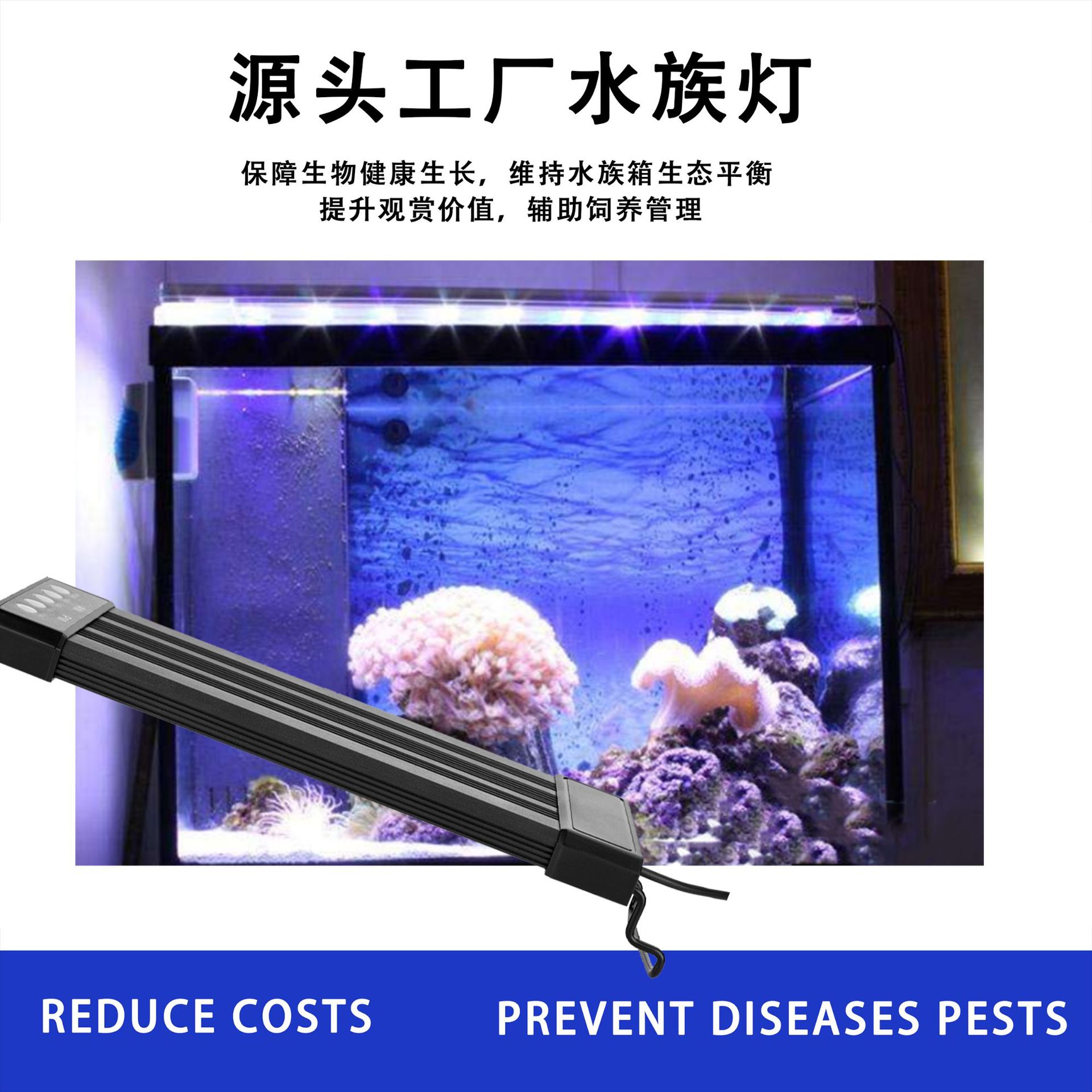 led��׵�led�쾰��������С�ͽ��ܸ���ˮ������ˮˮ�ݵ�