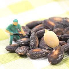 洽洽小而香西瓜子奶油味180g袋裝批發新疆打瓜子炒貨小吃休閒零食