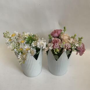 Manufacturer Customized European and American Crown Paint Flower Pots for Planting Succulents Home Desktop Decoration White Small Iron Bucket