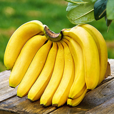 Guangxi Bananas Williams Bananas natural Season fresh fruit Guangxi millet Banana One piece On behalf of