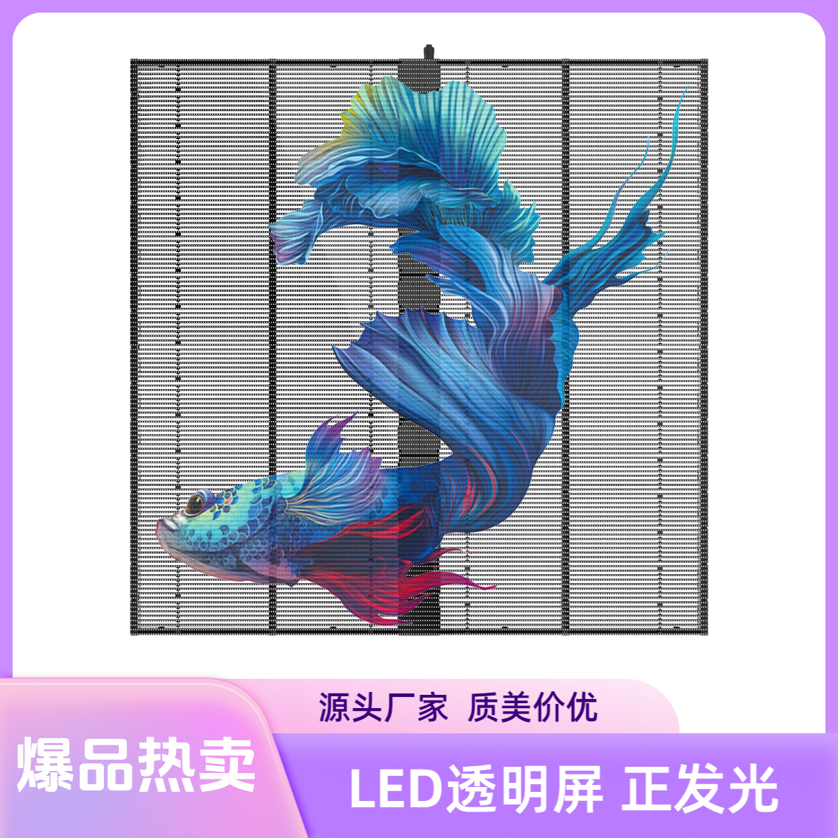 LED贴膜透明屏全彩显示屏户外广告屏柔性超薄屏室内高清屏幕冰屏