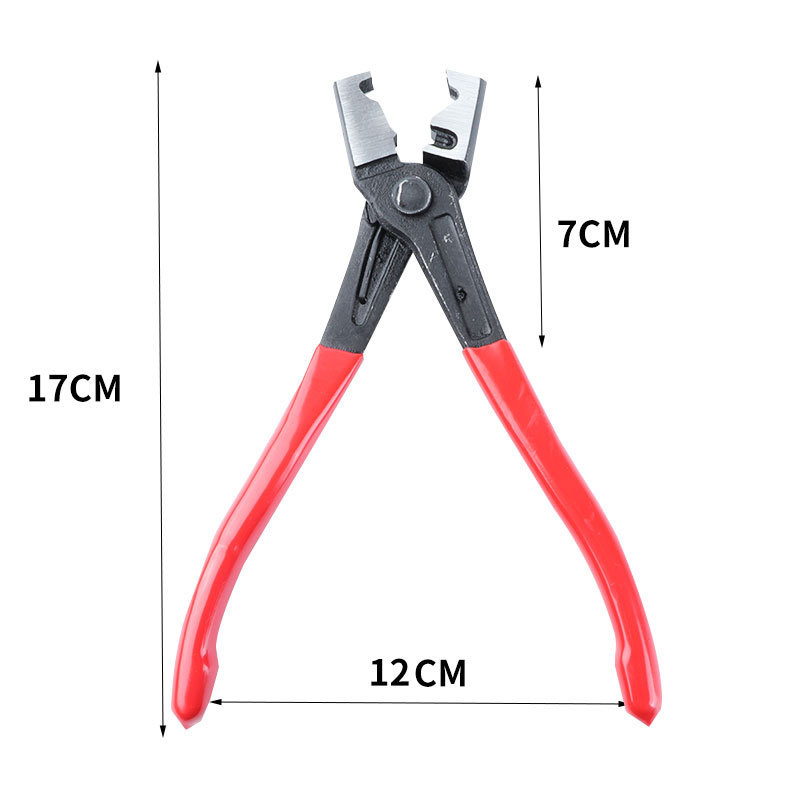 단일 호랑이 바이스