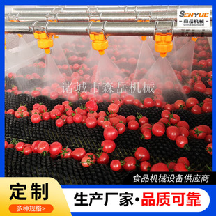 �}Ů���SƤ����ϴ�C304���P�ˮ��������ϴ�C����ëˢϴ���C�S��