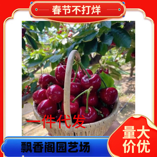 ������ľ���~��������Y�� ܇���Ӽ޽ә��Ҙ� ������� ���Ҙ�