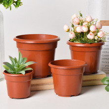 SlϻطNֲtɫ¼绨k@ˇϻ