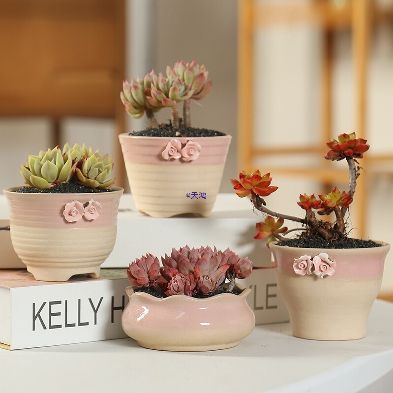 Simple Plant Succulent Flower Pot Ceramic Free Shipping Small Thumb Pot Breathable Coarse Pottery Large