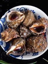 �����r���ش��r���������r��ݬF�l����ˮ�a���r������S���]