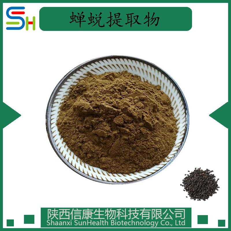 蝉蜕粉 蝉蜕提取物 10:1 信康生物  现货 粉末  1kg起