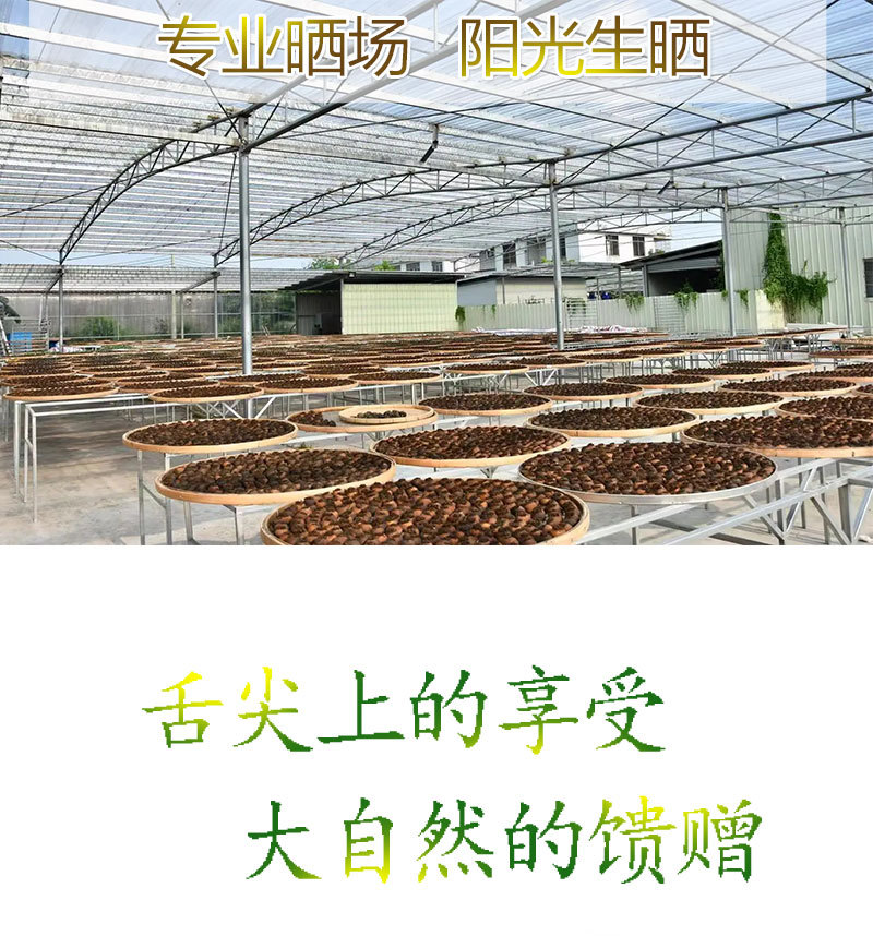 阿里陈皮情页模板_04