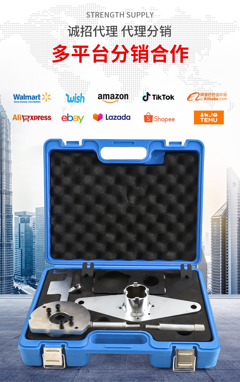 Land Rover Evoque 2.0 2.0t Diesel Engine Timing Tool Jaguar Chery Diesel Engine High-Pressure Oil Pump Repair Tool