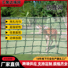 防鹿网 蔬菜大棚果树猕猴桃苹果树防绿色冰雹防护网 防冰雹防鸟网