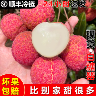 ��4.5����ء�(һ�����l)����ï��������֦���r����������ˮ����
