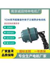 南京诚田特种电机三相异步低噪声外转子电动机YDW0.25-4/4-6