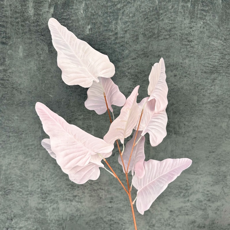 Fuchsia Tabi
