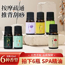 佰芳源精油足浴按摩店推拿10ml玫瑰刮痧开背美容院专用小瓶装批发