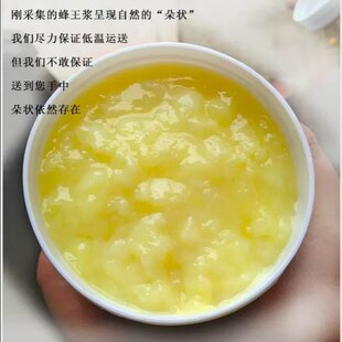 �����{ Ұ�� ����Ȼ ��Ʒ ���r�����Ͳ˻����{ ��ʝ{500g ���z��