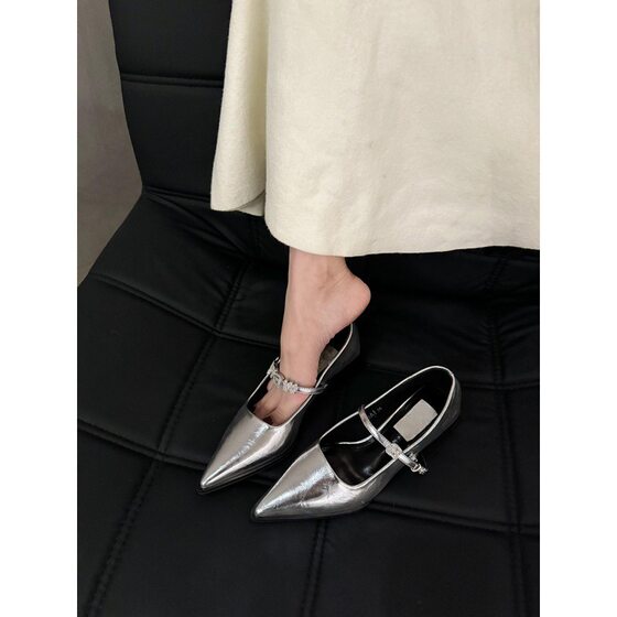 French thick heel Mary Jane shoes spring and autumn women's shoes 2025 new explosions pointed small leather shoes evening silver shoes