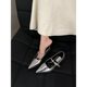 French thick heel Mary Jane shoes spring and autumn women's shoes 2025 new explosions pointed small leather shoes evening silver shoes