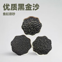 精洗黑金沙鱼缸造景水族箱铺底专用沙园艺多肉盆景铺面