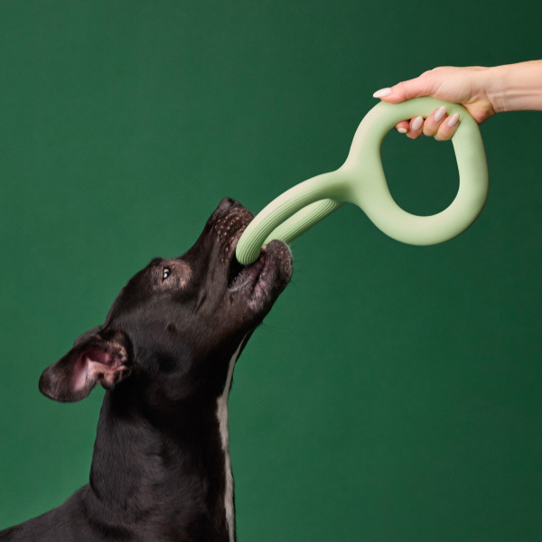 Material Rubber Pet Bite Pull Toy