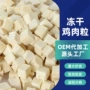 冻干宠物猫咪猫零食