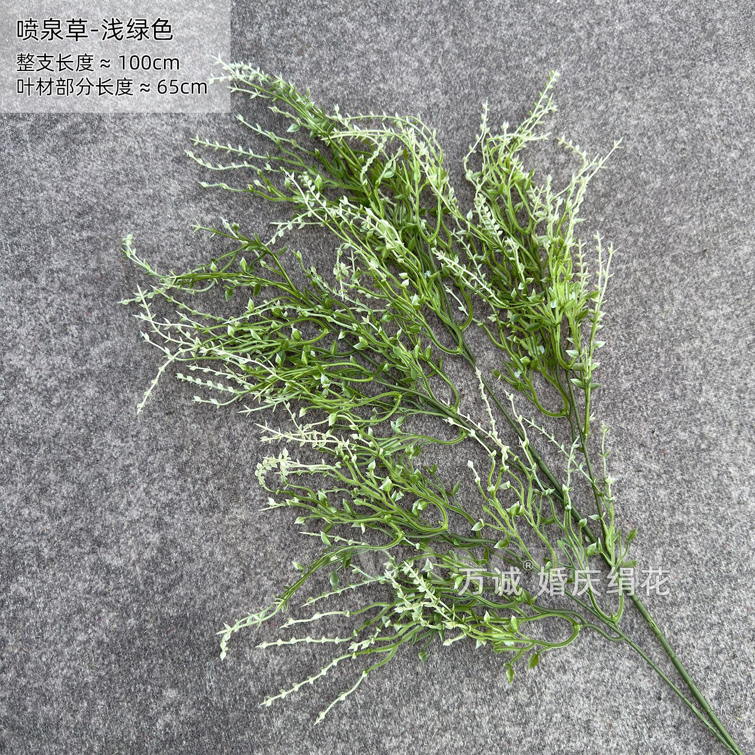 Fountain grass light green