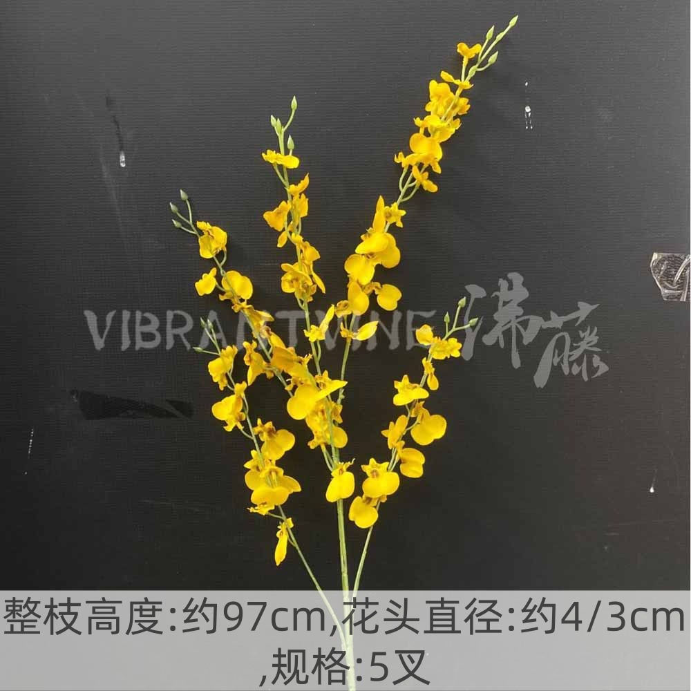 Yellow peacock dancing orchid