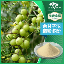余甘子提取物 多酚20% 30% 余甘子萃取 水溶 棕黄色粉末