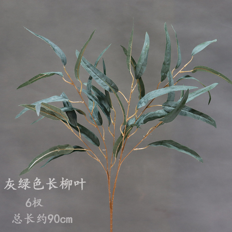 Hojas de sauce largo verde gris