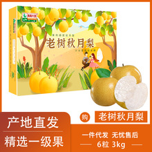 �������Ϙ����±�����Y�Ѓ���6��ɽ�|�R������������rˮ��