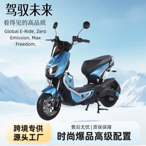 Electric Scooter High-Speed Long-Range Lithium Battery Motorcycle