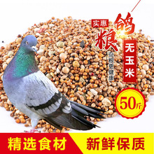 飼料鴿糧批發價無玉米鴿子糧鳥食成鴿幼鴿肉鴿營養鴿糧食廠家批發