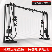 健身房器材多功能引体向上双臂机龙门架健身器械大飞鸟综合训练器