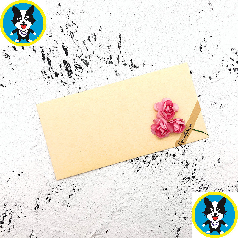 智贝SKU图_7信封信纸套装干花文艺小清新创意diy牛皮
