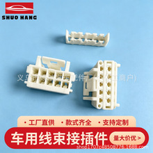 10P汽车连接器 双排10孔公母胶壳 线束接插件护套带二次锁片插头