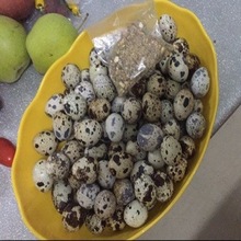 50枚生鹌鹑蛋农家散养特产生鲜新鲜鸟蛋孕妇宝宝辅食包邮送卤料