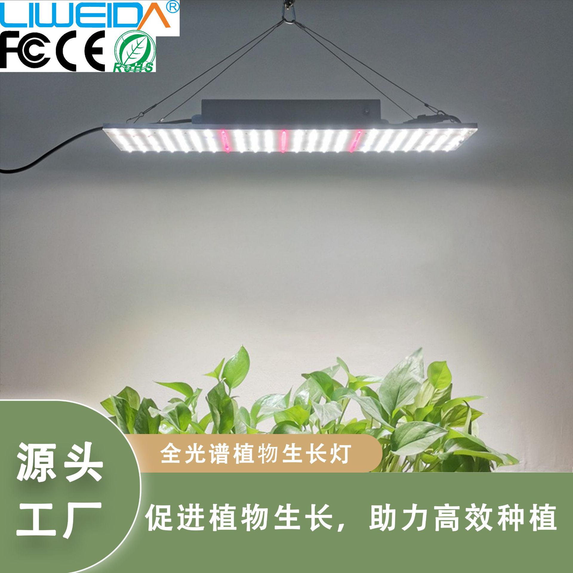 ledֲ ֲ̫ﲹƼôﻨ