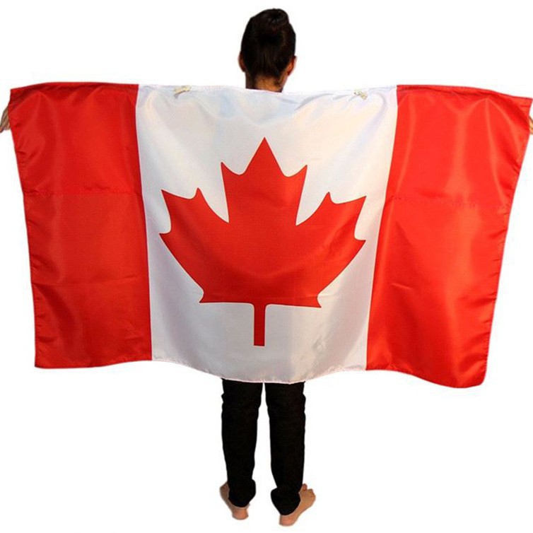 2026 transfronterizos Estados Unidos, Canadá, México, productos de la Copa del Mundo, suministros de fanáticos, productos de animación, bufandas de fútbol, banderas de automóviles personalizadas