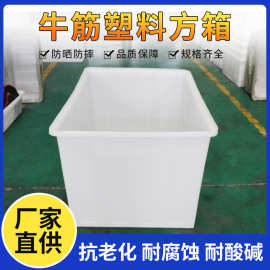 加厚牛筋塑料水箱加厚水产pe方形养殖箱塑料养殖抗养箱龟箱摔熟胶