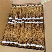 �|�������L��ɽ�t���������8����l�˅�������һ�����l��ʳ�t��