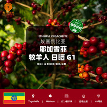 金粽包邮埃塞俄比亚进口耶加雪菲牧羊人日晒G1咖啡生豆2023新产季