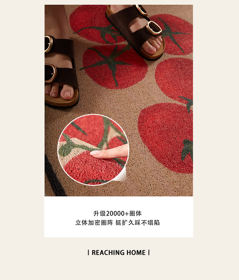 Entrance door mat with a light luxury and high-end feel, vintage style, dirt-resistant, non-slip, washable PVC loop mat for the foyer entrance