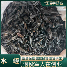 药用水蛭干500g足干无杂质 中药材吊干水蛭源头厂家批发 支持检测