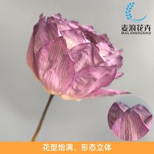 永生花荷花荷叶木莲花天然干花真花家居软装禅意插花摆件禅意风